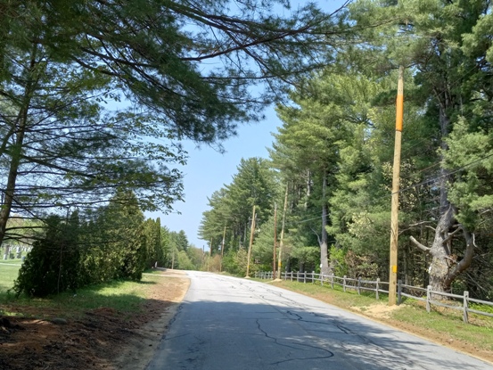 new poles on River Rd-141532-sm